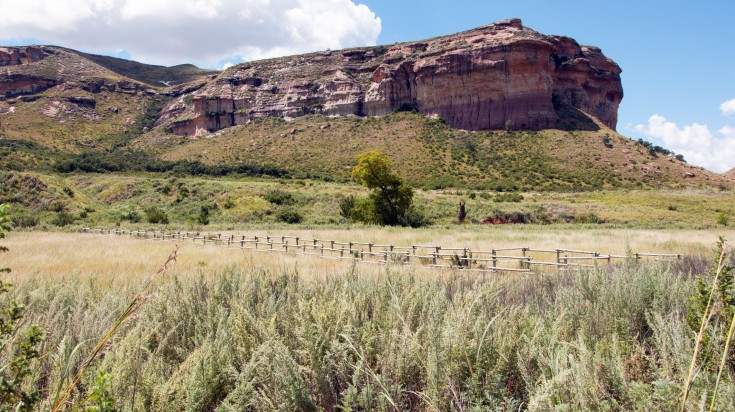 National parks in S. Africa to reopen for overnight accommodation