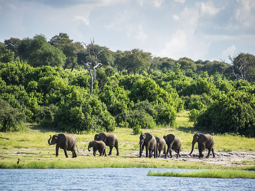 Students urged to promote Zambia tourism in China 