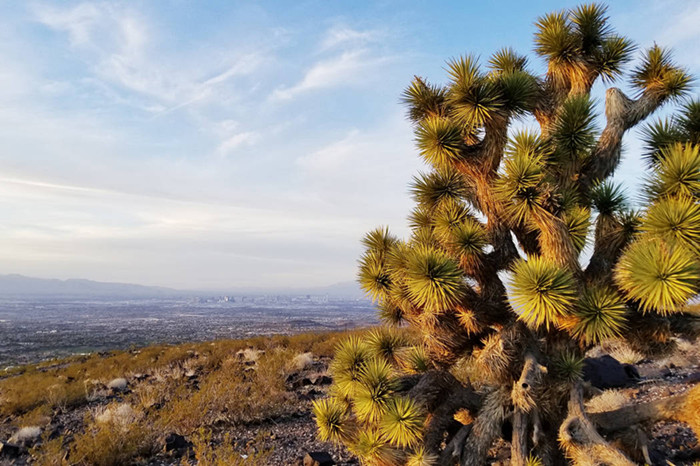 Not at home on the range? Give hikes a try