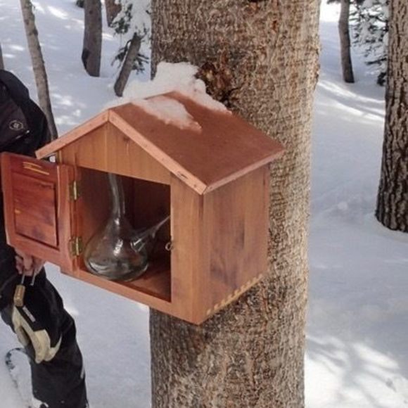 Taos Tree Martini