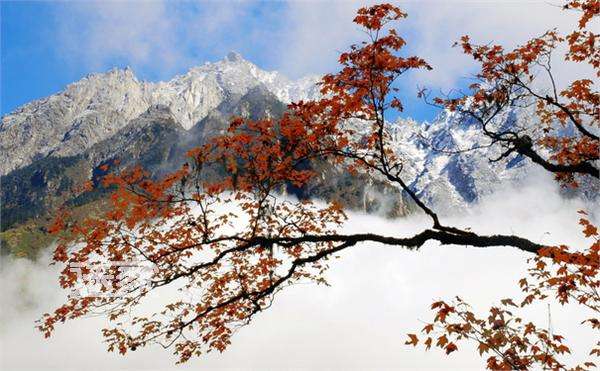  Xiling Snow Mountain A Must—Visit Place in Chengdu