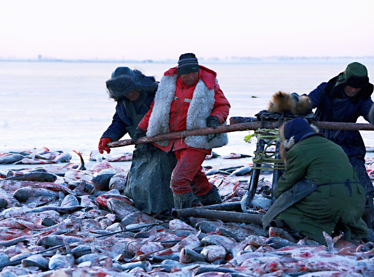 Jilin strengthens ecological protection