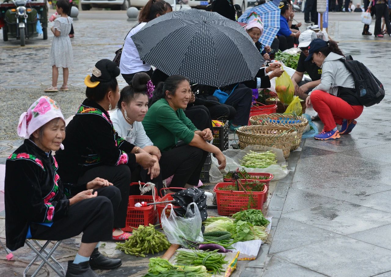 走进山地，拥抱自然 “国际山地旅游日”户外健身徒步活动成功举办