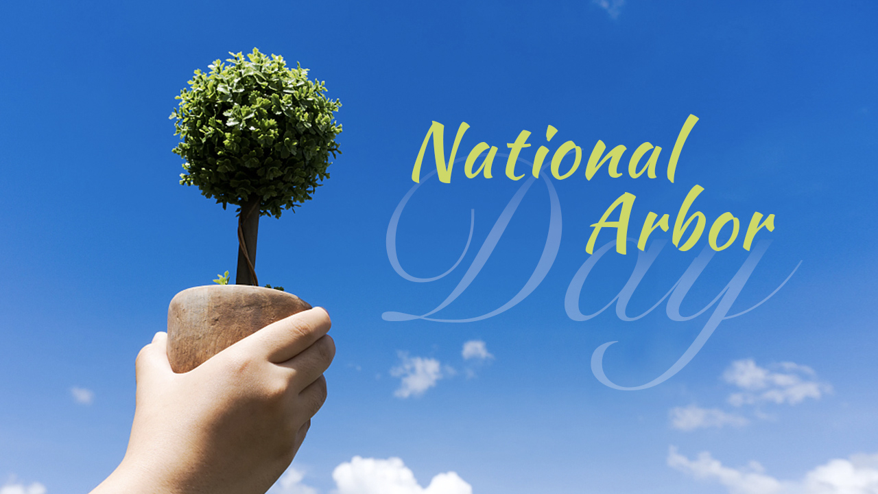 Arbor Day: Say thanks to these silent friends