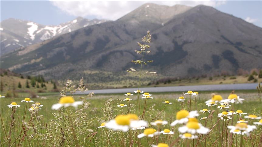 Mountains: Crucial ecosystems for wildlife, humanity