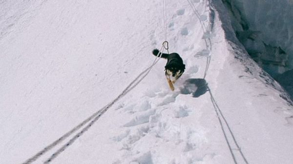 The Dog that Climbed a Himalayan Mountain