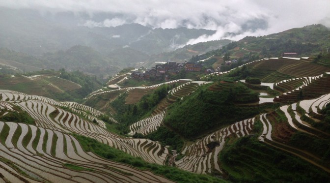 DAZHAI RICE TERRACES