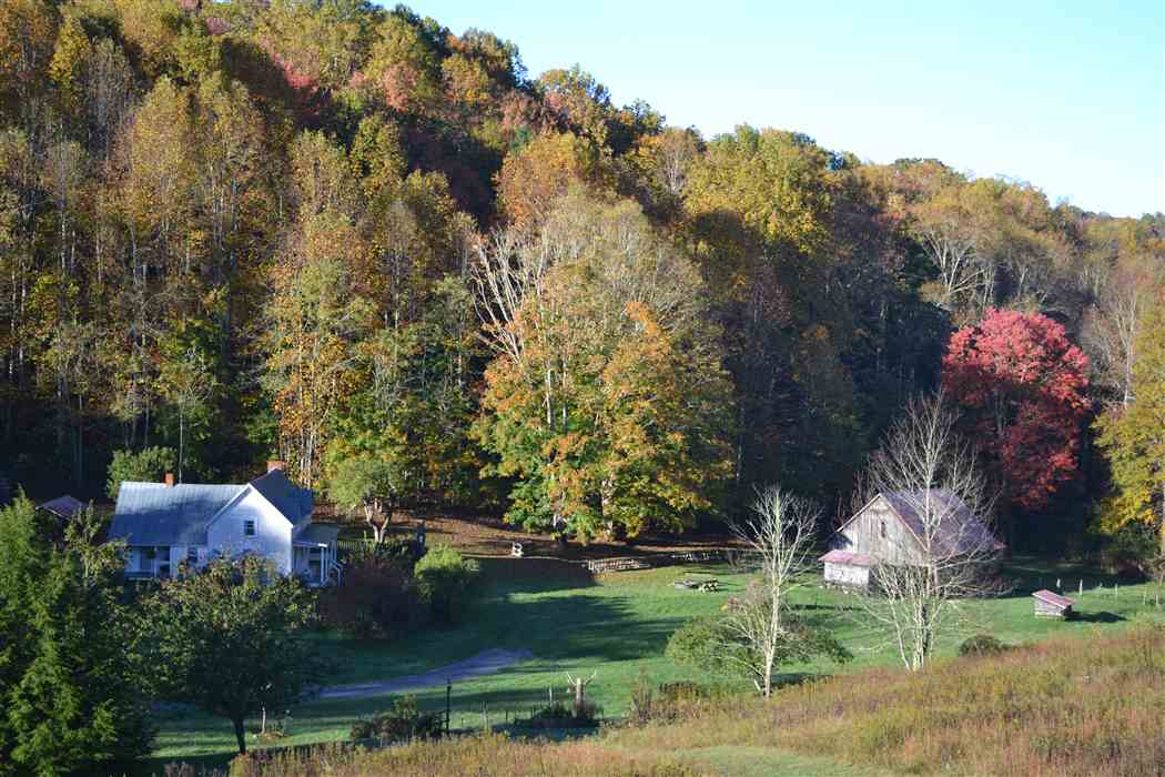 Roan Mountain State Park offers old-fashioned 4th of July