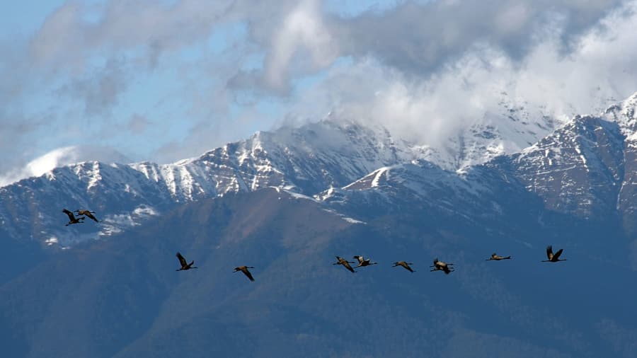 Georgia: Gateway to hiking the Caucasus Mountains