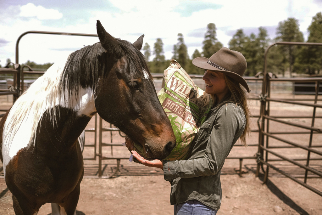 One woman’s epic trek across the USA… on horseback