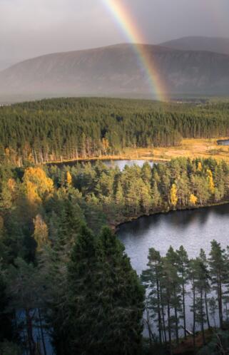 Cairngorms National Park