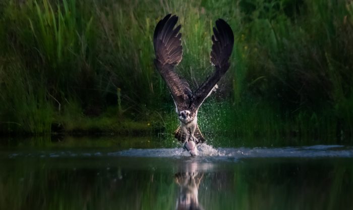 Dramatic Cairngorms shot wins National Parks Photo Comp