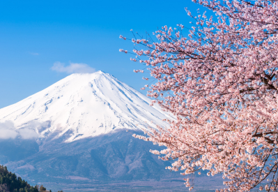 日本山岳行，踏歌眸樱花
