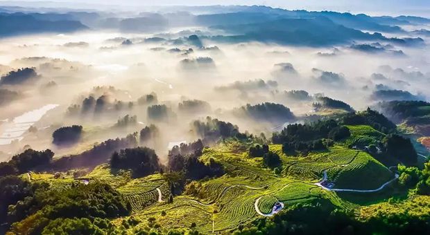 多地倡导就地过年 旅游业发力在地游应对寒冬