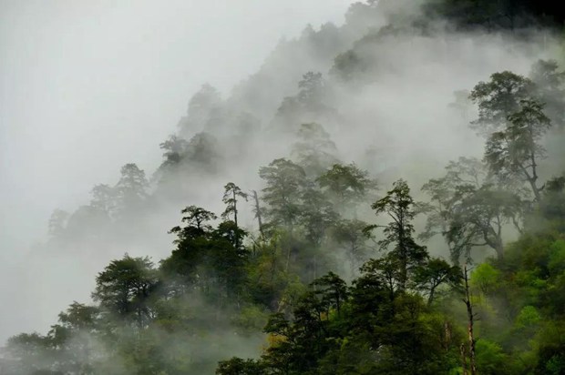 如何推进智慧旅游建设？这些大咖有话说