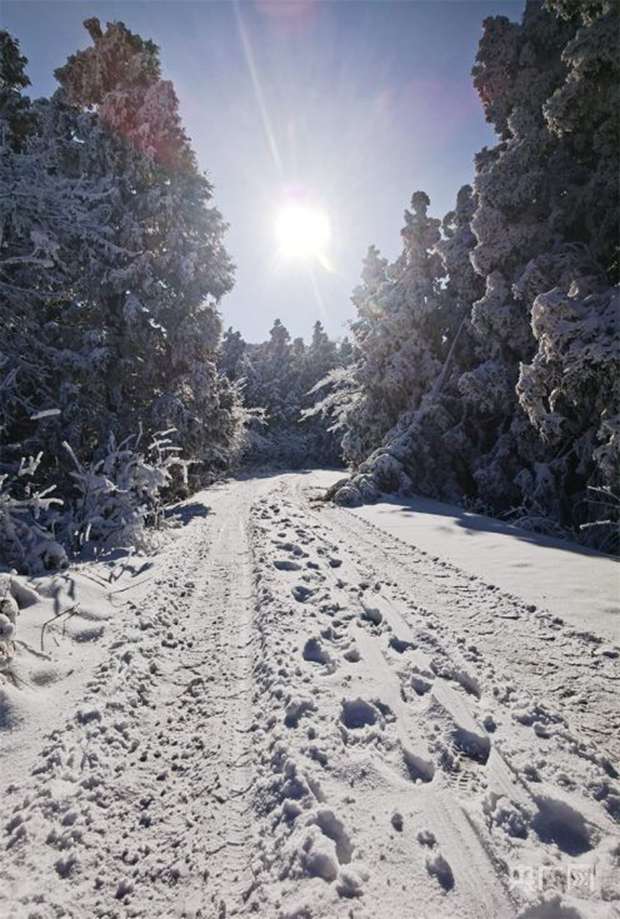 “十四五”期间，大兴安岭将打造滑雪产业核心区