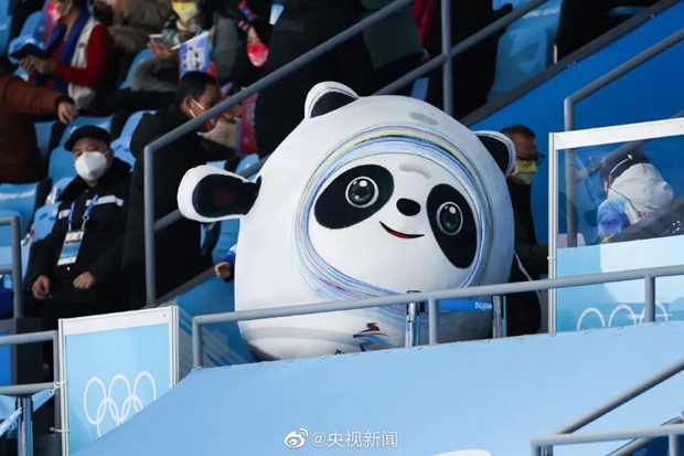 熊猫自古是顶流：爆火的冰墩墩，能成为中国文化IP吗？