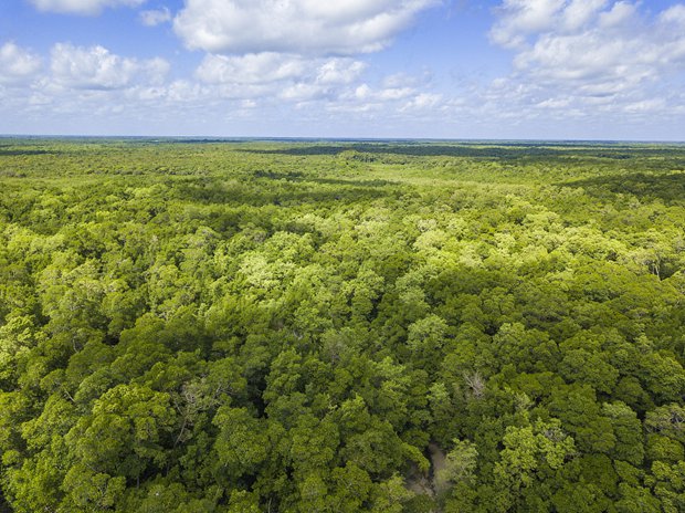 Brazil sets up priority action plans to preserve Amazon