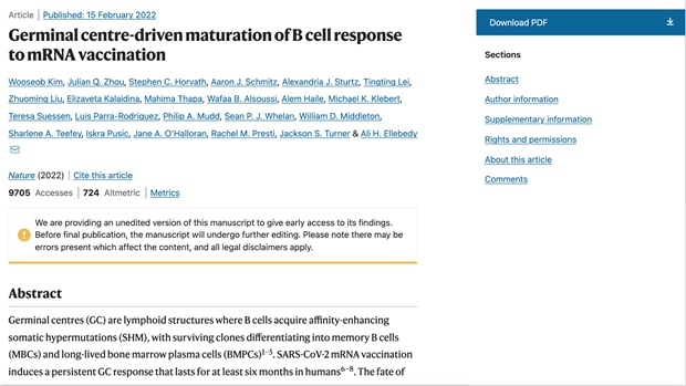 Antibodies found to be more powerful months after mRNA COVID-19 vacs