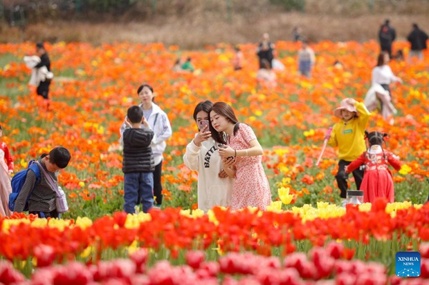 People enjoy springtime across China