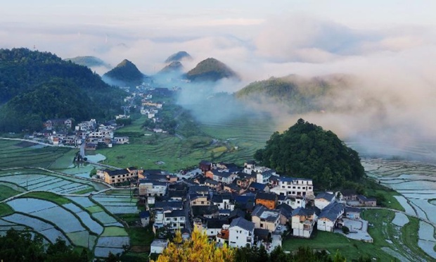 茅台新电商平台将上线