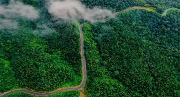 Guizhou wetland welcomes wintering rare birds