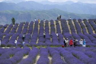 Tourism resurgence tells of a flourishing, stable, open Xinjiang