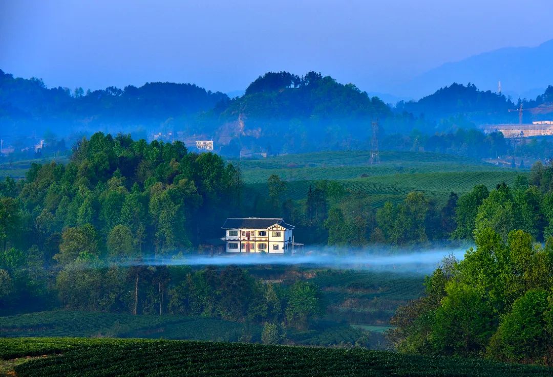 贵州最美风景在路上自驾路线 |自驾湄潭，开启27°茶文化之旅