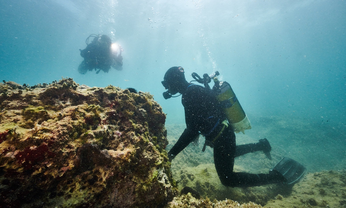 Devastating impact: Poaching of ‘status symbol’ date mussels threatens Italy’s coasts