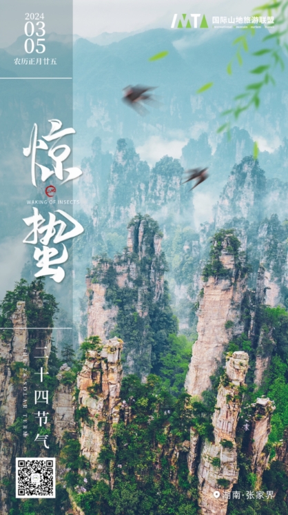 惊蛰丨Awakening of Insects