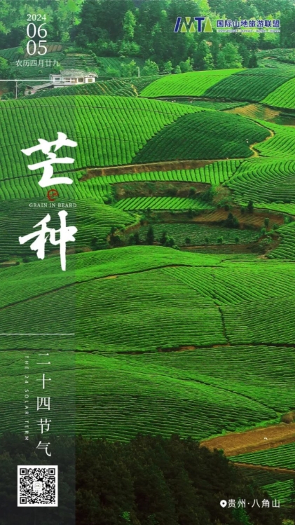 芒种丨Grain in Ear