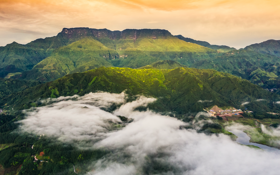 947270df4cbc4843bb3d17613db3dfaa.png 图片