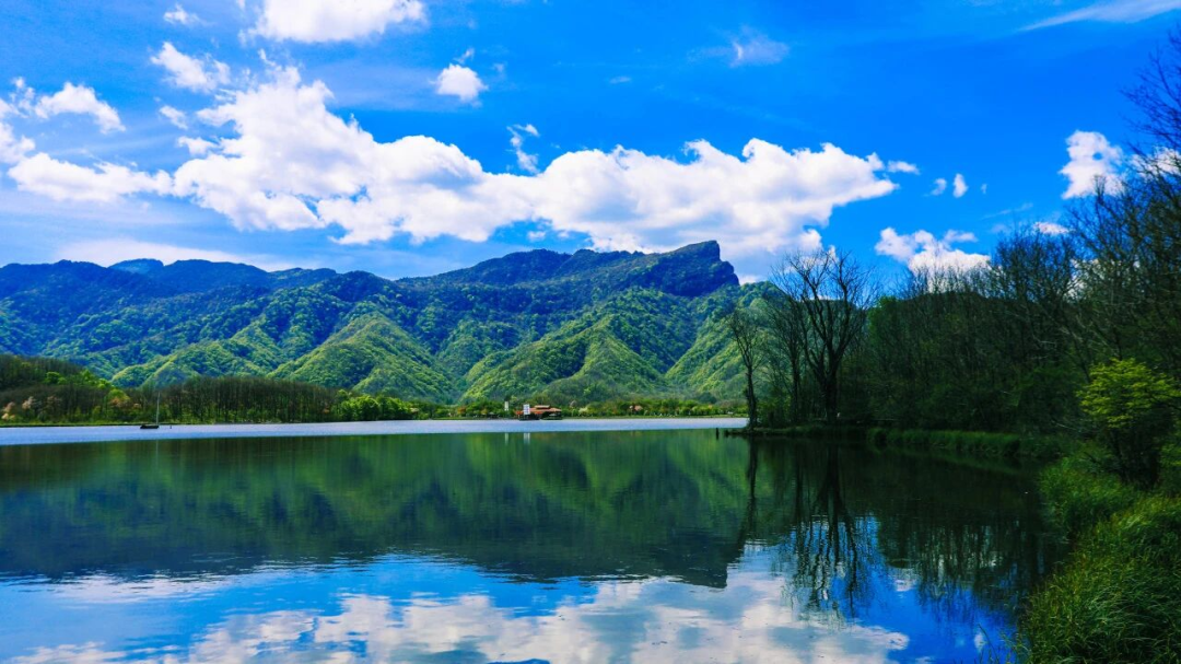 02413f68cf1d4454be6f65d813976a57.png 图片