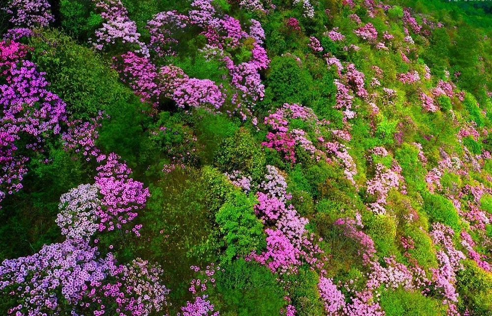32f3b044bf494529912aad6ff9ec484f.png 图片