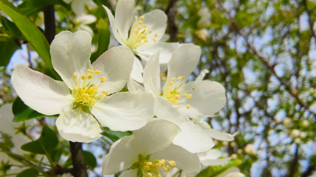 4f6162ffb2a84bcc8e2c45284bf1d978.png 图片