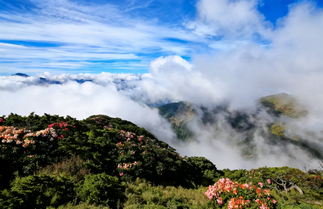 c267d40e80fc435c9a1951695f4606c3.png 图片