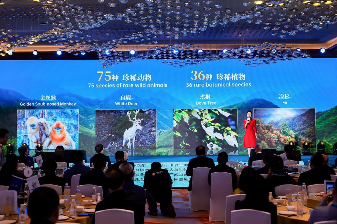 c55a65b4aa1149828141938578fdc0a5.webp 图片