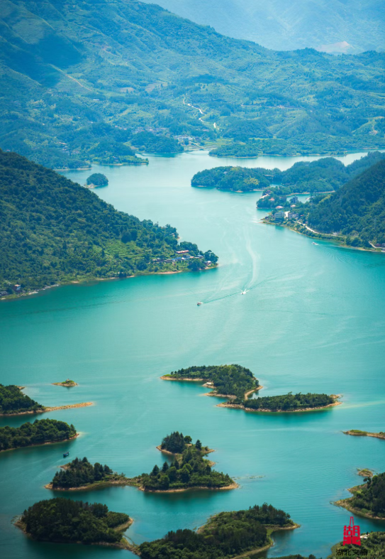 8030178fdd39484db682552f68b77c4e.png 图片