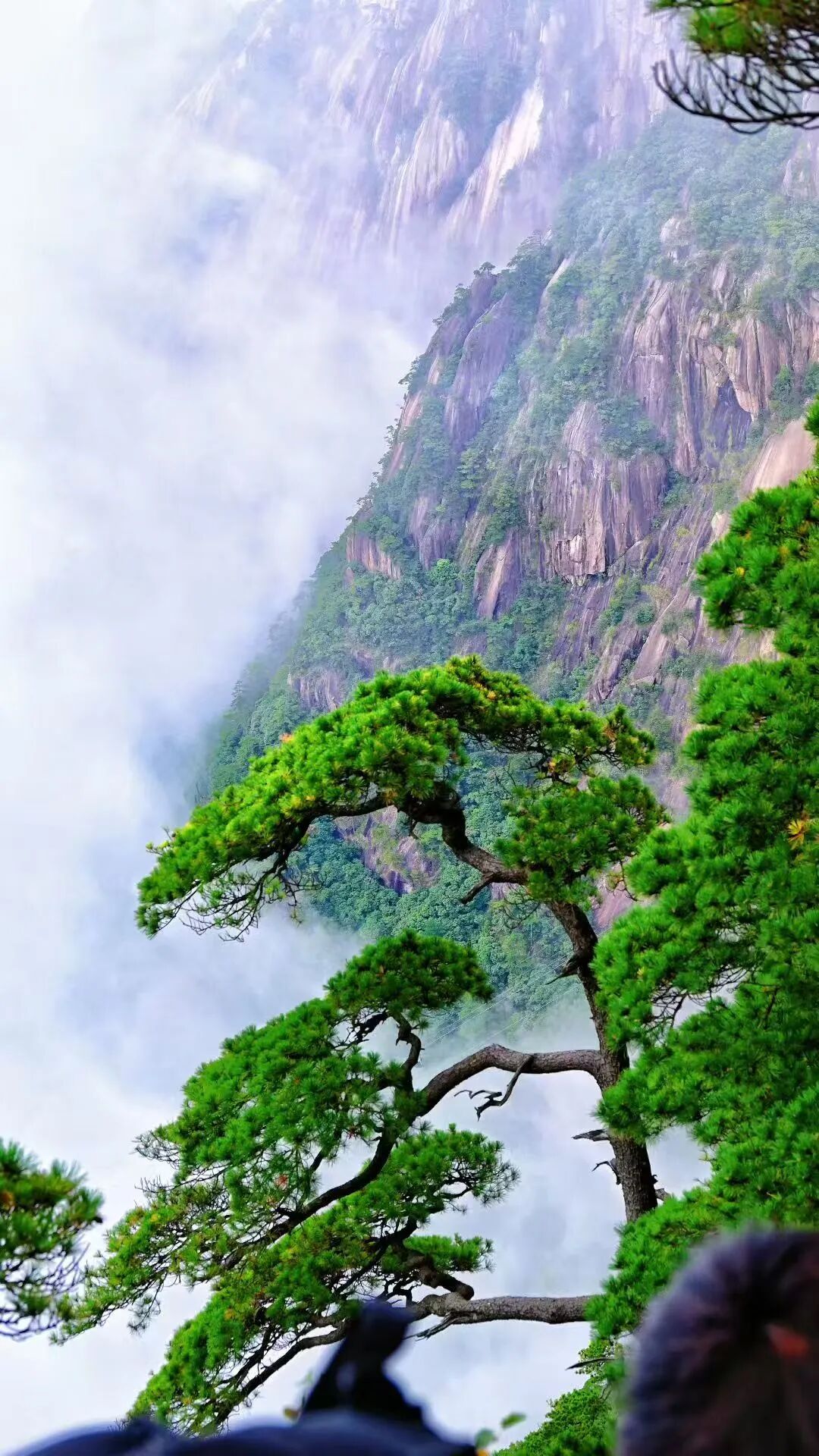 b338a1aa455e4015b39d8321a0ca2ad4.jpg 图片