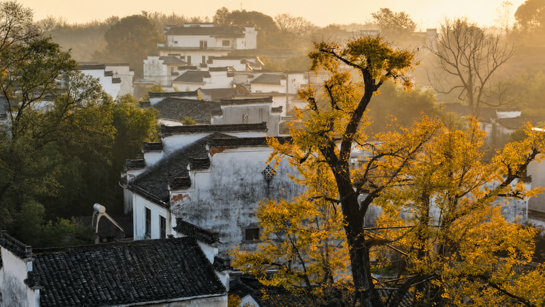 e8b33d3e2ef749009588f6989081e7c3.png 图片