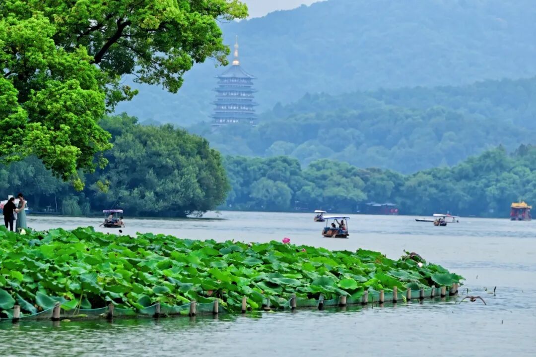 393c7c62112b454f80e89523ee26d827.jpg 图片