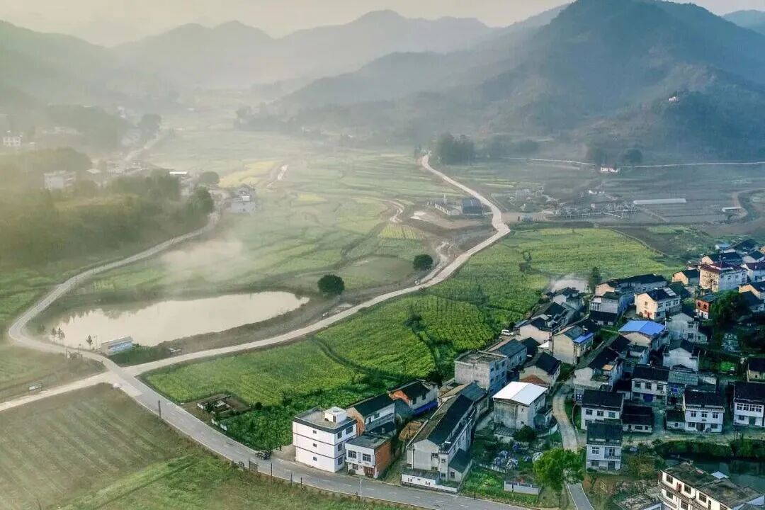 995fa6b3363d47d5b527a35958edc605.jpg 图片