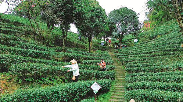 Tourists discover natural delights of Guangxi Zhuang