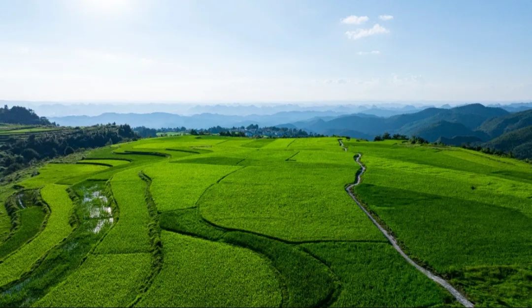 【玩转山地】稻浪翻涌、花海露营、溯溪玩水……我在贵州贵阳高坡遇见了宫崎骏的夏天！