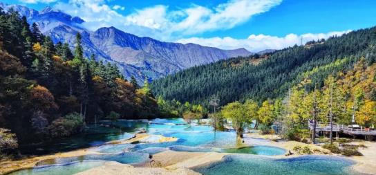 四川发布“大熊猫寻踪”与“竹林风景线”生态旅游线路