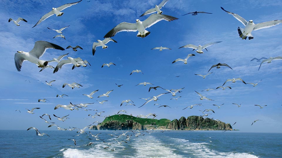 Shandong seaside tour: experience the leisurely life between the mountains and the sea