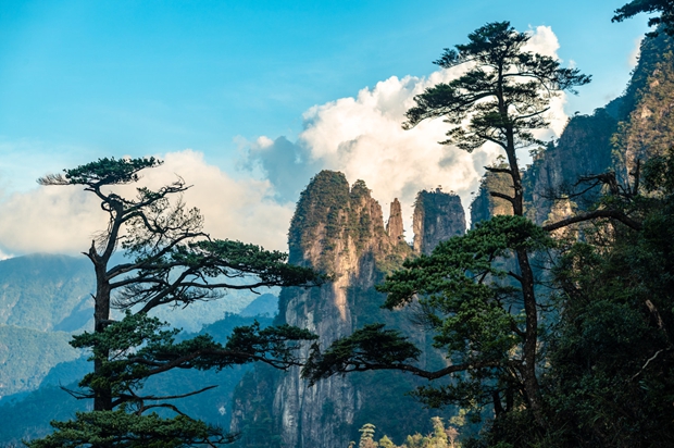 Saudi Arabia and the World Economic Forum jointly launch the “Beyond Tourism” initiative