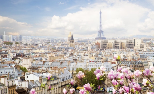 Escaping the Olympics Crowds: Travel Trends from Paris to the World