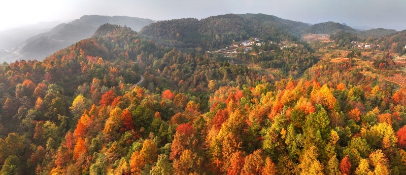 【玩转山地】初冬时节 贵州贵阳开阳香火岩“枫”景如画