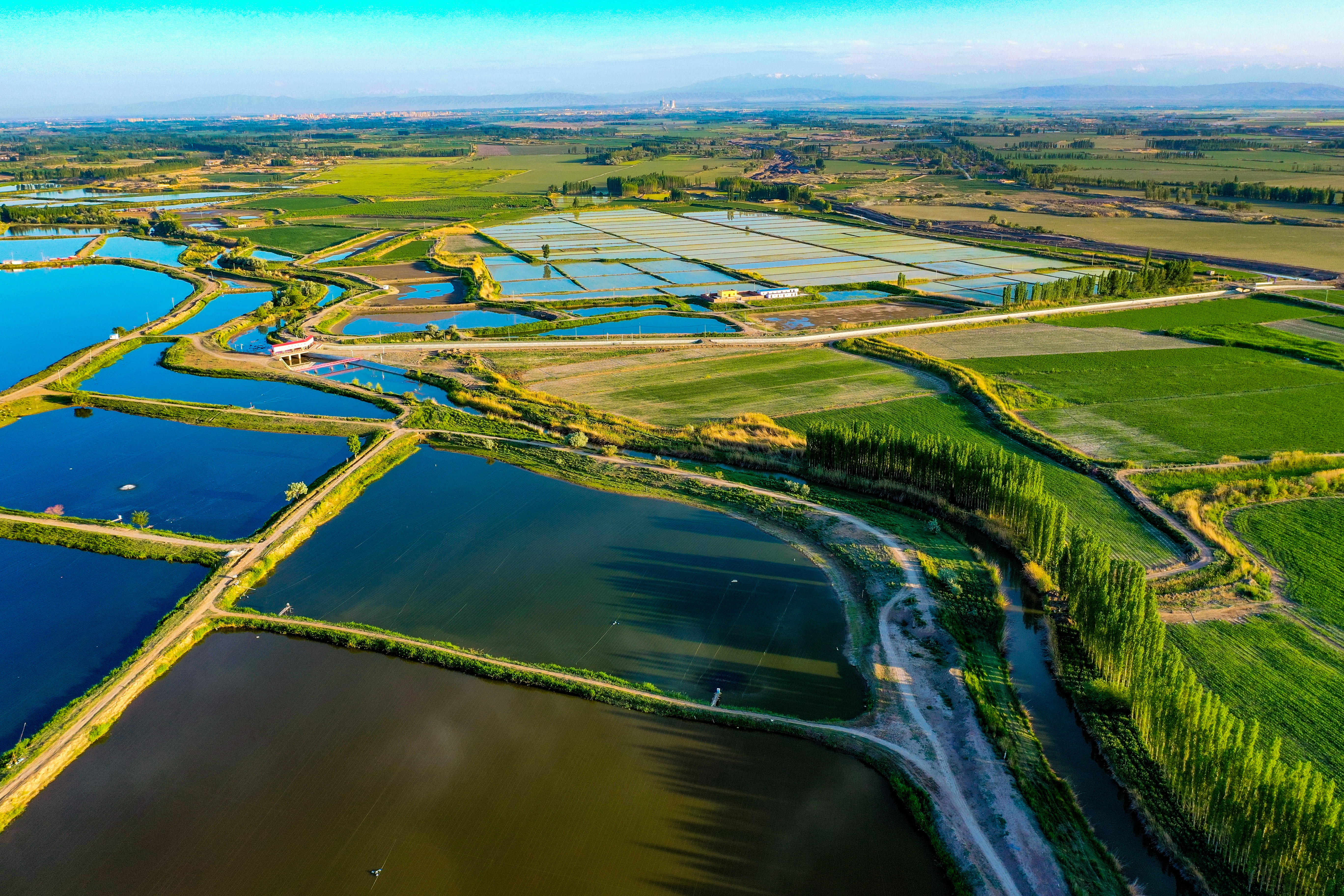 Picturesque summer scenery in Xinjiang